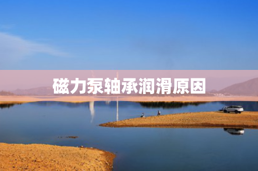 磁力泵轴承润滑原因