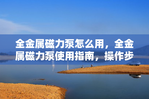 全金属磁力泵怎么用，全金属磁力泵使用指南，操作步骤与注意事项