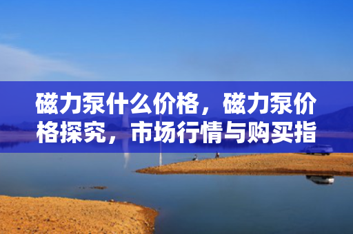 磁力泵什么价格，磁力泵价格探究，市场行情与购买指南