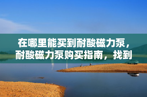在哪里能买到耐酸磁力泵，耐酸磁力泵购买指南，找到最适合你的购买渠道