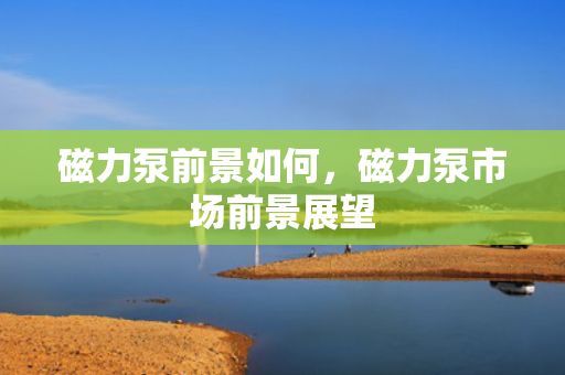 磁力泵前景如何，磁力泵市场前景展望