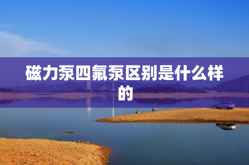 磁力泵四氟泵区别是什么样的