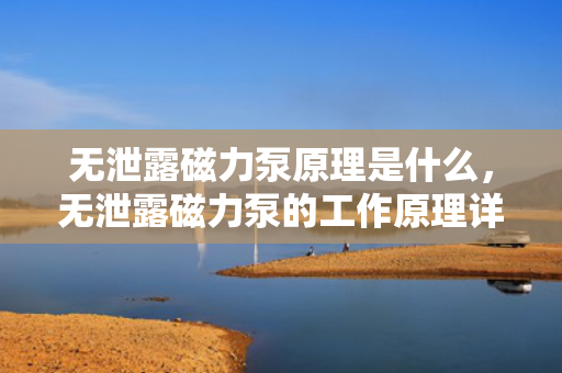 无泄露磁力泵原理是什么，无泄露磁力泵的工作原理详解