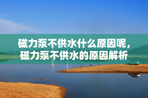 磁力泵不供水什么原因呢，磁力泵不供水的原因解析