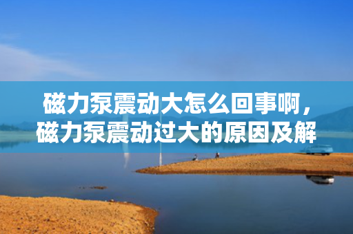 磁力泵震动大怎么回事啊，磁力泵震动过大的原因及解决方法