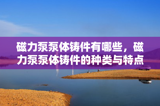 磁力泵泵体铸件有哪些，磁力泵泵体铸件的种类与特点