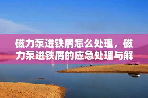 磁力泵进铁屑怎么处理，磁力泵进铁屑的应急处理与解决方案