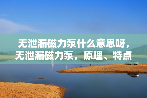 ***磁力泵什么意思呀，***磁力泵，原理、特点及应用解析