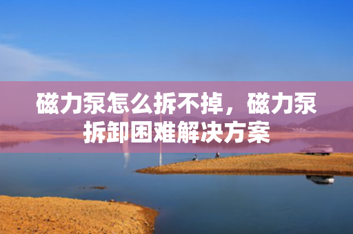 磁力泵怎么拆不掉，磁力泵拆卸困难解决方案