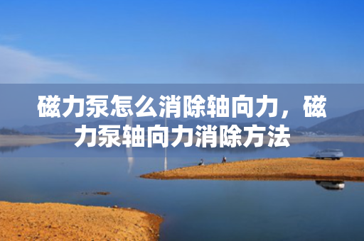 磁力泵怎么消除轴向力，磁力泵轴向力消除方法