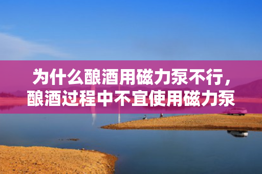 为什么酿酒用磁力泵不行，酿酒过程中不宜使用磁力泵的原因解析