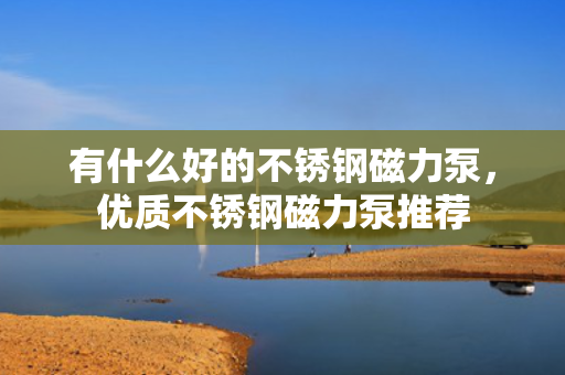 有什么好的不锈钢磁力泵，优质不锈钢磁力泵推荐