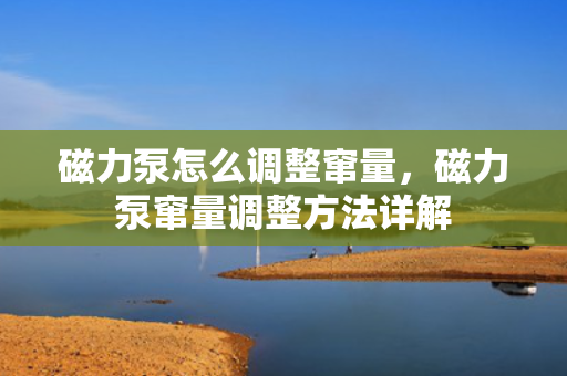 磁力泵怎么调整窜量，磁力泵窜量调整方法详解