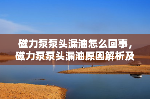 磁力泵泵头漏油怎么回事，磁力泵泵头漏油原因解析及处理方法