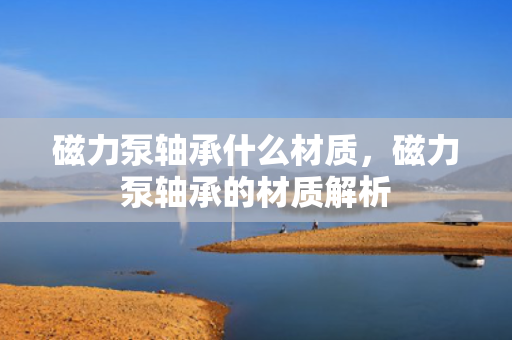 磁力泵轴承什么材质，磁力泵轴承的材质解析