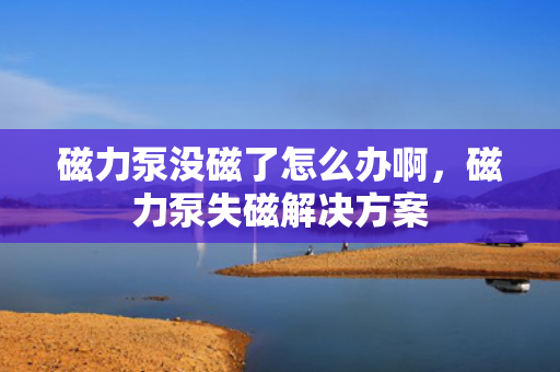 磁力泵没磁了怎么办啊，磁力泵失磁解决方案