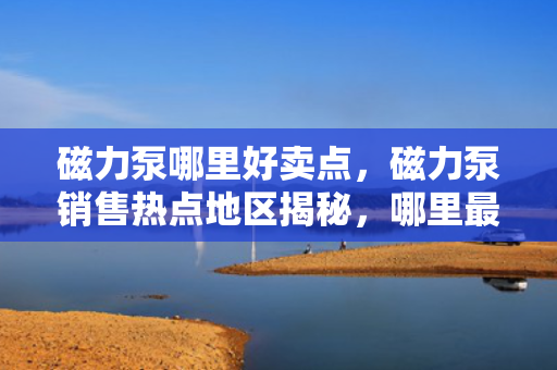 磁力泵哪里好卖点，磁力泵销售热点地区揭秘，哪里***好卖？