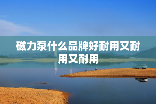 磁力泵什么品牌好耐用又耐用又耐用 磁力泵什么品牌好耐用又耐用又耐用