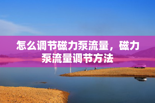 怎么调节磁力泵流量，磁力泵流量调节方法