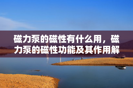 磁力泵的磁性有什么用，磁力泵的磁性功能及其作用解析