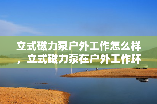 立式磁力泵户外工作怎么样，立式磁力泵在户外工作环境中的性能表现