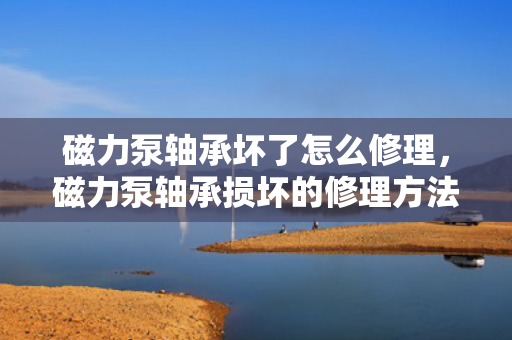 磁力泵轴承坏了怎么修理，磁力泵轴承损坏的修理方法与步骤