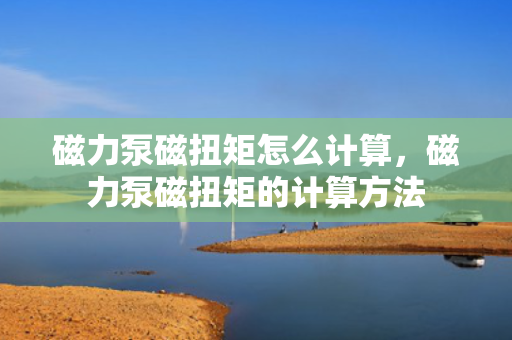 磁力泵磁扭矩怎么计算，磁力泵磁扭矩的计算方法