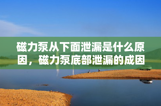 磁力泵从下面泄漏是什么原因，磁力泵底部泄漏的成因解析