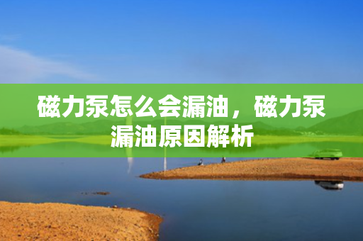 磁力泵怎么会漏油，磁力泵漏油原因解析