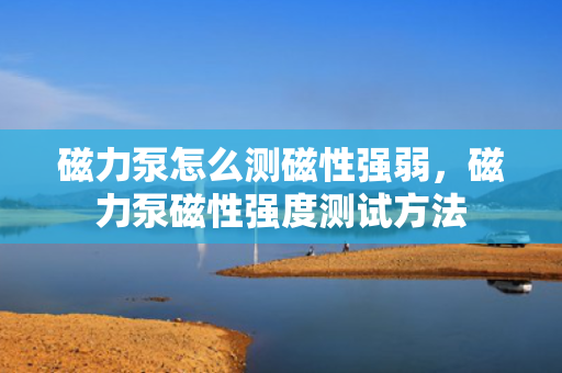 磁力泵怎么测磁性强弱，磁力泵磁性强度测试方法