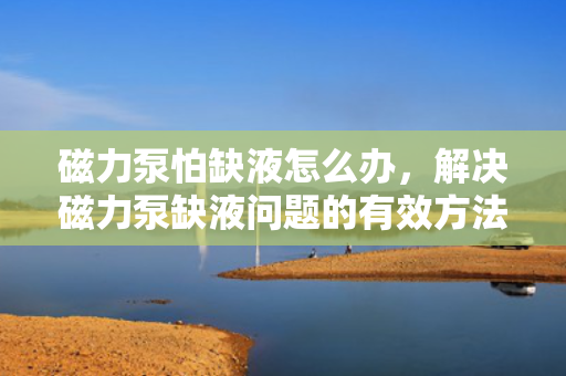 磁力泵怕缺液怎么办，解决磁力泵缺液问题的有效方法