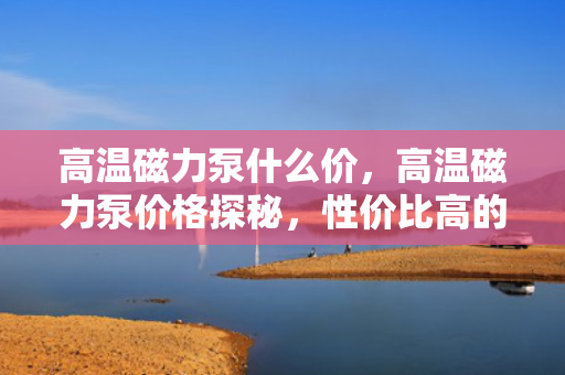 高温磁力泵什么价，高温磁力泵价格探秘，性价比高的选择