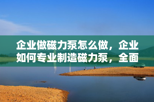 企业做磁力泵怎么做，企业如何专业制造磁力泵，全面指南
