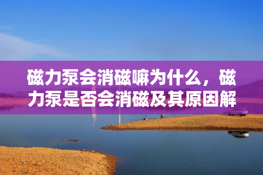 磁力泵会消磁嘛为什么，磁力泵是否会消磁及其原因解析