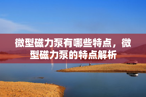 微型磁力泵有哪些特点，微型磁力泵的特点解析