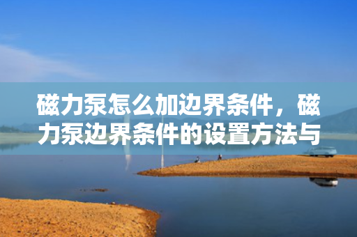 磁力泵怎么加边界条件，磁力泵边界条件的设置方法与步骤