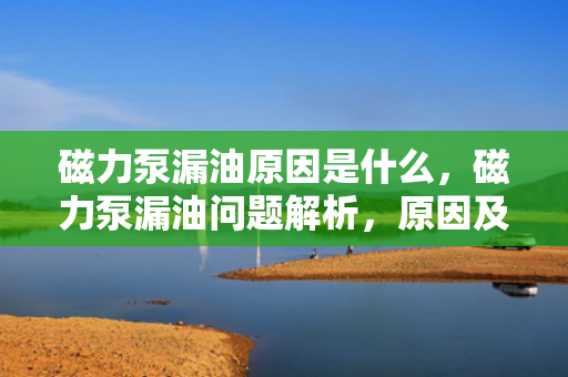 磁力泵漏油原因是什么，磁力泵漏油问题解析，原因及应对措施