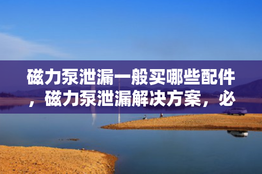 磁力泵泄漏一般买哪些配件，磁力泵泄漏解决方案，必备配件购买指南