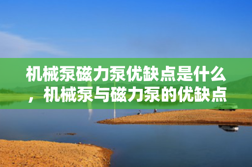 机械泵磁力泵优缺点是什么，机械泵与磁力泵的优缺点解析