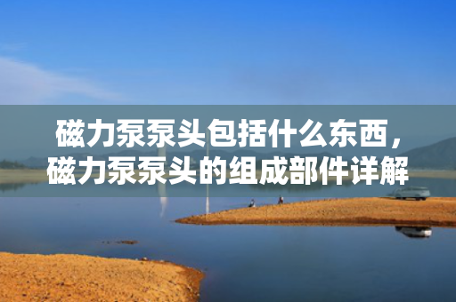 磁力泵泵头包括什么东西，磁力泵泵头的组成部件详解