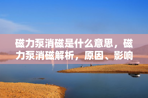 磁力泵消磁是什么意思，磁力泵消磁解析，原因、影响及应对措施