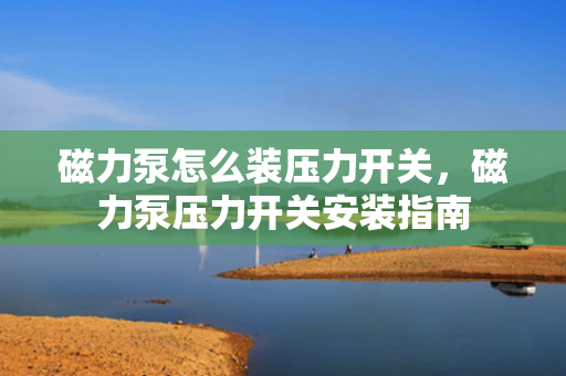 磁力泵怎么装压力开关，磁力泵压力开关安装指南