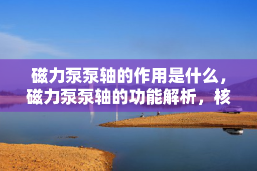 磁力泵泵轴的作用是什么，磁力泵泵轴的功能解析，核心作用与运转机制