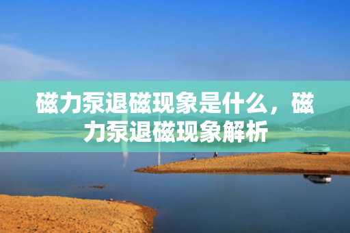 磁力泵退磁现象是什么，磁力泵退磁现象解析