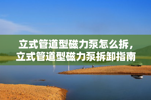 立式管道型磁力泵怎么拆，立式管道型磁力泵拆卸指南