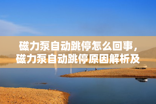 磁力泵自动跳停怎么回事，磁力泵自动跳停原因解析及解决方法