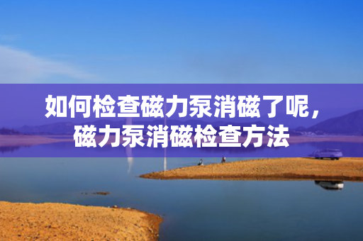 如何检查磁力泵消磁了呢，磁力泵消磁检查方法