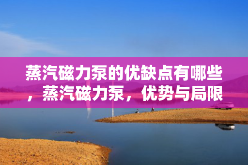 蒸汽磁力泵的优缺点有哪些，蒸汽磁力泵，优势与局限一览