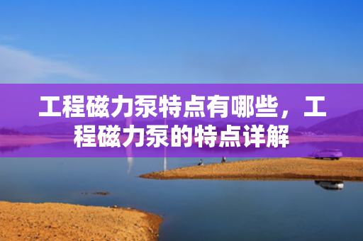 工程磁力泵特点有哪些，工程磁力泵的特点详解