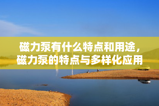 磁力泵有什么特点和用途，磁力泵的特点与多样化应用解析